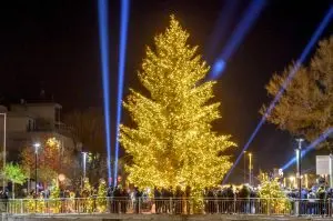 albero-natale-300x199